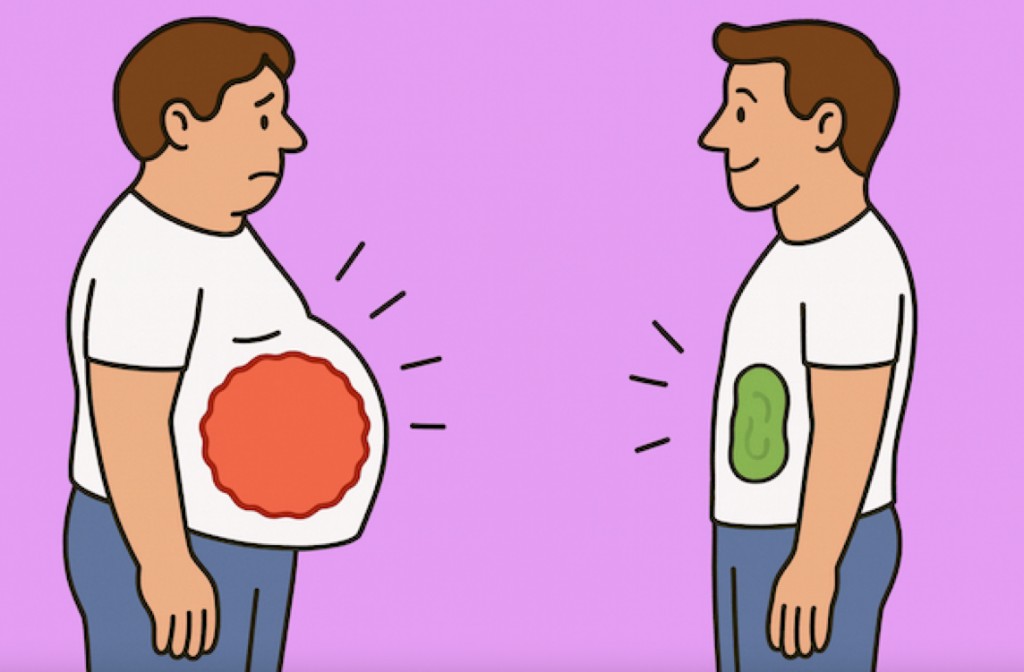 Comparación ilustrada: antes con sobrepeso e inflamación, después delgado y saludable.